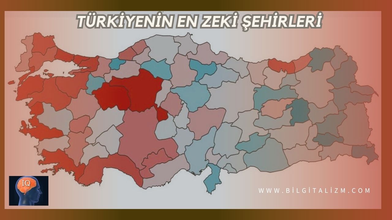 Türkiye'nin En Zeki Şehirleri